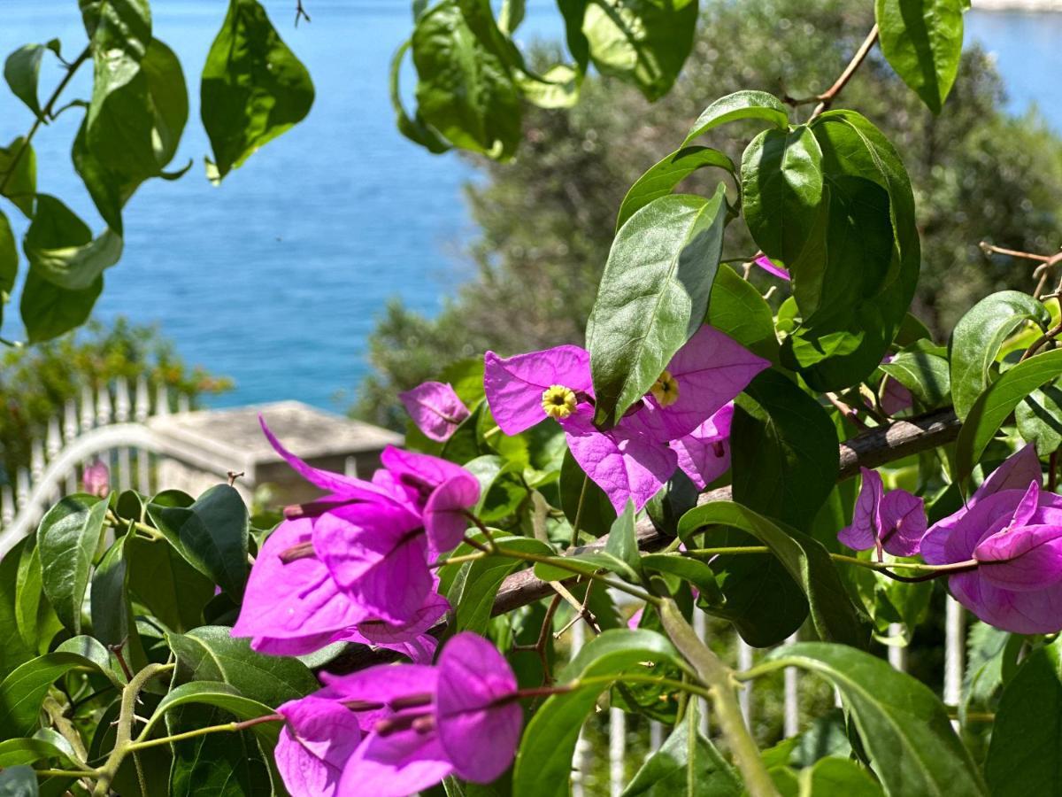 Luxury Seaside Villa With A Classic Mediterranean Olive Garden, A Fully Equipped Professional Kitchen, Pool, Sauna, Padle Boards And Canoe - Miolin Beach House Трогир Екстериор снимка