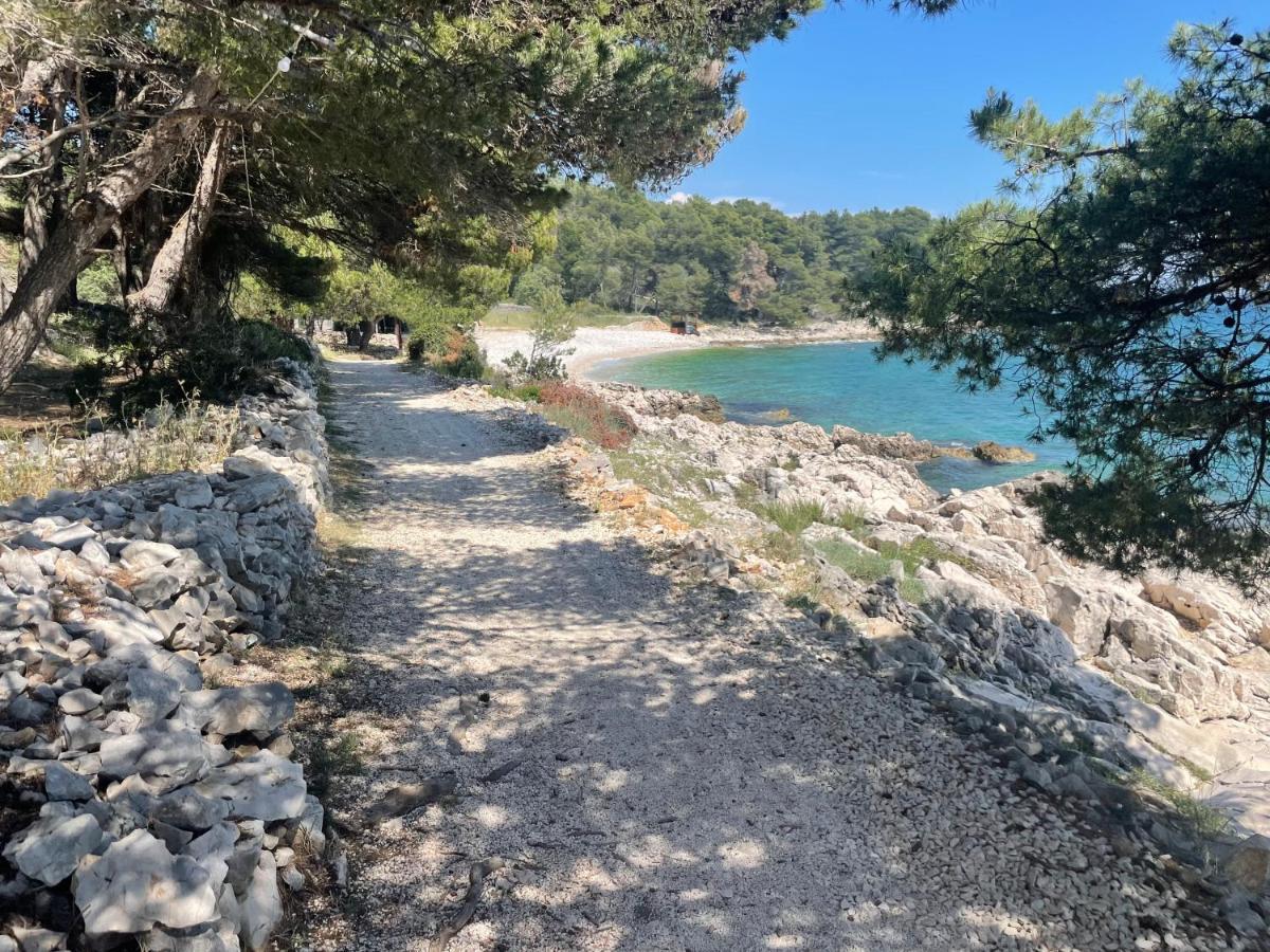 Luxury Seaside Villa With A Classic Mediterranean Olive Garden, A Fully Equipped Professional Kitchen, Pool, Sauna, Padle Boards And Canoe - Miolin Beach House Трогир Екстериор снимка