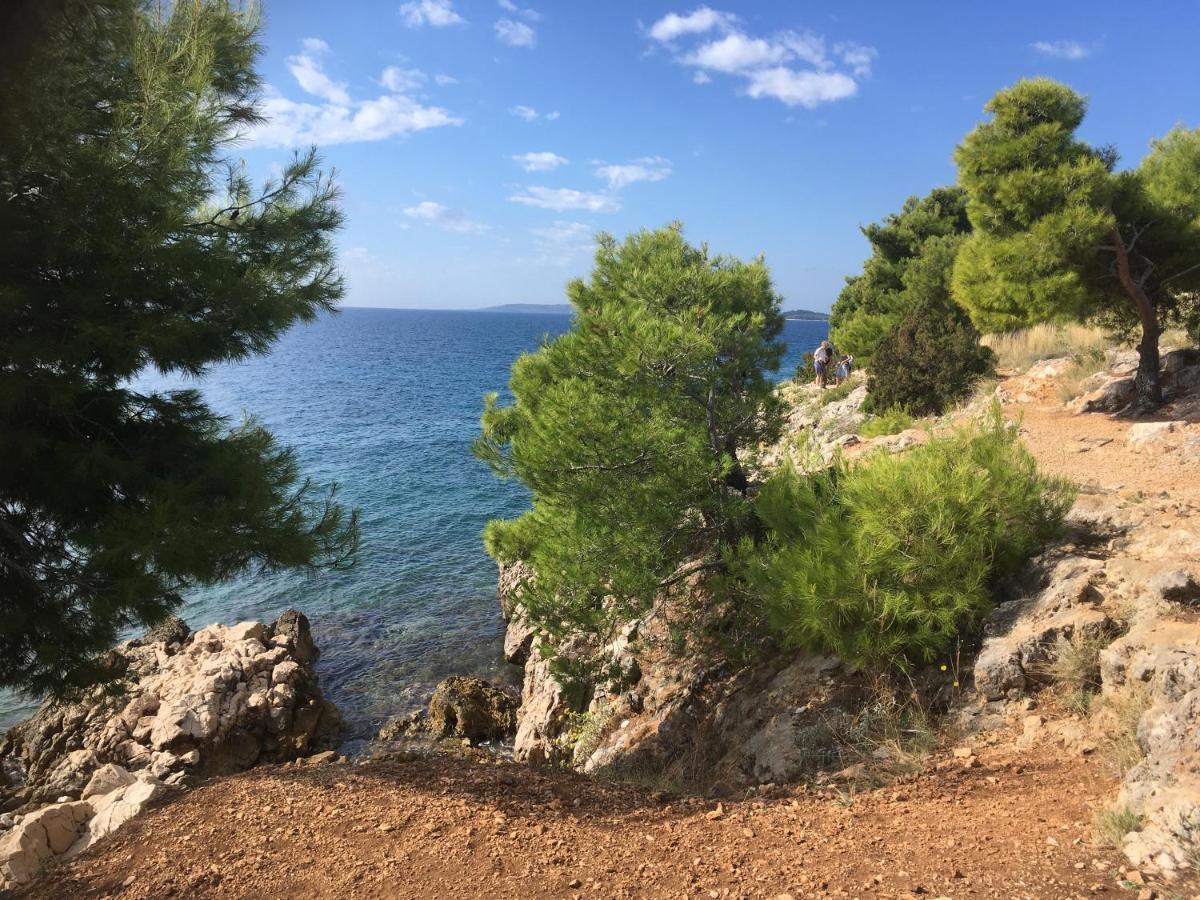 Luxury Seaside Villa With A Classic Mediterranean Olive Garden, A Fully Equipped Professional Kitchen, Pool, Sauna, Padle Boards And Canoe - Miolin Beach House Трогир Екстериор снимка